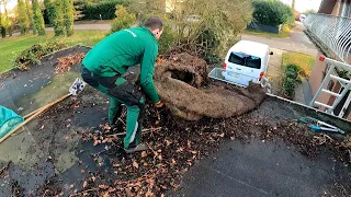 Can You HELP ME? Client's Neighbor Asked Me To REMOVE Ivy From His Garage