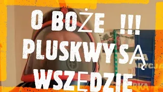 jak zlikwidować pluskwy - domowy sposób na pluskwy -  jak pozbyć się pluskiew - dezynsekcja Poznań