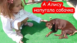 VLOG Я напугала отдыхающих на пляже