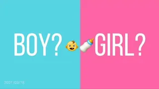 GENDER REVEAL FREE TEMPLATE 👶🍼