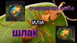 золотой панцирь новый топ на панголине the ants underground kingdom