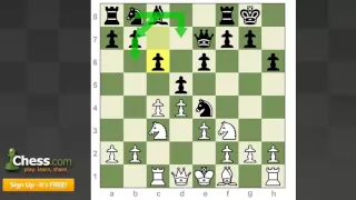 Chess Openings: The Queen's Gambit Declined