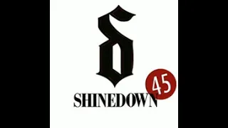 Shinedown - 45 432hz