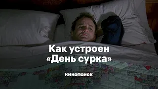 Как устроен «День сурка»