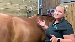 Massaging Your Horse