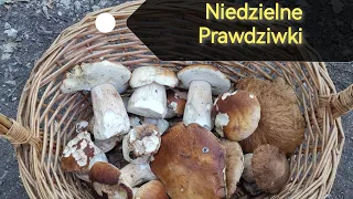 Niedziela a tu takie piękne Prawdziwki.