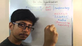 In Situ Hybridization