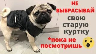 Жилетка для собаки 🐶 Жилетка для собаки своими руками ✂️ Выкройка жилетки для собаки 🧵🪡 Сделай са