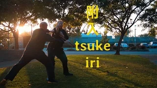 Bujinkan Hanbōjutsu Kata 附入 Tsuke Iri Preview