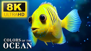 The Best 4K Aquarium - The Colors of the Ocean, The Sound Of Nature #7