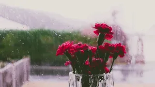 lovely musict he sound of rain through the window and relaxing sleep music