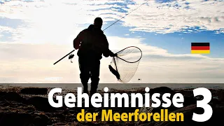 Geheimnisse der Meerforellen 3 - Spinnfischen