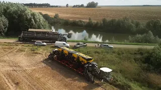 NEXAT | Canola Harvest 2023 in Ukraine | SOUND | Ufarm