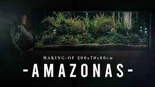 INCREDIBLE 1000L Amazon Aquarium build | XXL Step by Step Tutorial | Planted Tank