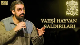 Vahşi Hayvan Saldırıları - Onur Gökçek | TuzBiber Stand-Up