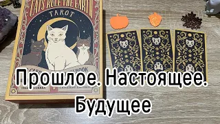 Прошлое. Настоящее. Будущее Гадание на таро Карина Захарова