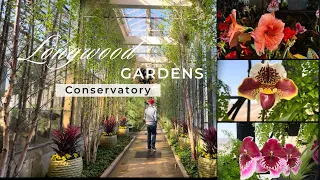 Longwood Gardens Conservatory | March 2024 室內園藝溫室花園