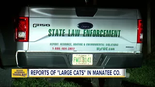 Manatee County Sheriff’s Office search for possible 'large cats' in Myakka City