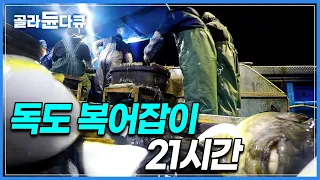 새벽 5시 기상! 21시간 밤낮없이 이어지는 고된 조업, 세계 4대 진미 복어를 찾아서!│#극한직업│#골라듄다큐