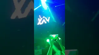 Alan walker live in Seoul - Hymn for the weekend + Flares (Niviro)