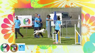 Primo Raduno Nazionale Italiana di Agility Dog FISC-IFCS