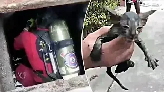 Kitten Rescued After Getting Stuck In Sewer