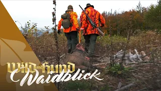 WILD UND HUND Drückjagd 2021 - PareyGo Classics