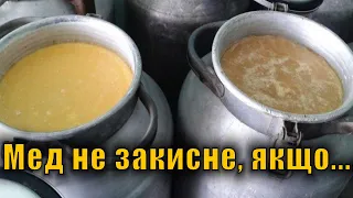 Чекаємо ціну на мед. Як зберігати мед?