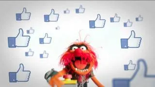 Animal: The Muppets On Facebook | The Muppets Fan-A-Thon | The Muppets