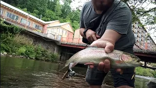 Gatlinburg Trout Fishing