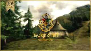 ⚡️ Harry Potter ASMR ⚡️ Hagrid's Hut (Daylight) - [HD Animation & Ambience]