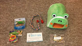 Reviewing January 2021's Ratty Box (A Rat Subscription Service!)