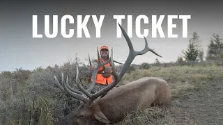 LUCKY TICKET - Utah Rifle Elk Hunt