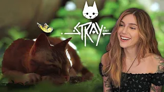 SO CUTE! | Stray Pt. 1 | Marz