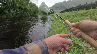 Fishing for Salmon on the River Doon 8th July 2023..