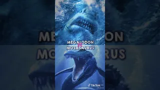 Megalodon versus mosassauro