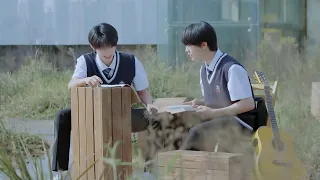 【TF家族】《回答》（《The answer about that summer》）微電影