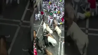 Six hurt in first bull run of Spain's San Fermin Festival