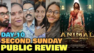 Animal Day 10 Public Review | Second Sunday | Tenth Day Public Response | Ranbir Kapoor, Bobby Deol