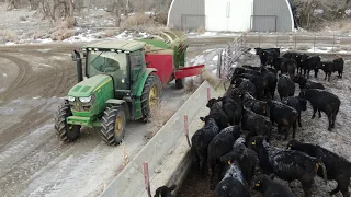 Grinding Hay And Feeding The Cattle In South Dakota