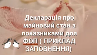 ДЕКЛАРАЦІЯ на загальній системі з показниками. ПРИКЛАД ЗАПОВНЕННЯ. ІНСТРУКЦІЯ ЯК, КОЛИ, КОМУ І ЧОМУ