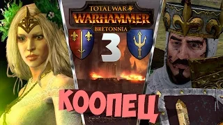 🔞Бретонния - #3 Кооператив | Master KBAC и Enterprise [Total War: Warhammer]