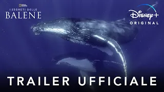 Disney+ | I Segreti delle Balene - Serie Originale in Streaming dal 22 Aprile