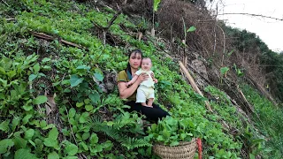 Single mother - Picking vegetables on the mountain top and her child's first meal