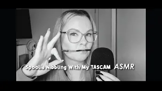 ASMR- Spoolie Nibbling with my Tascam. (intense mouth sounds!)
