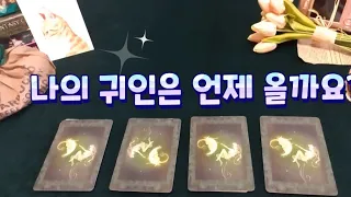 [타로]당신이 나의 귀인이신가요?