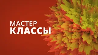 Мастер-класс: Психология трейдинга | Olymp Trade