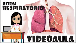 Sistema Respiratório