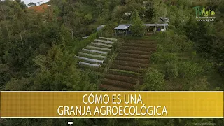 Como es una granja agroecologica - TvAgro por Juan Gonzalo Angel Restrepo