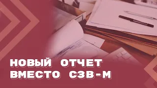 Персонифицированные сведения о физических лицах — нюансы заполнения новой формы